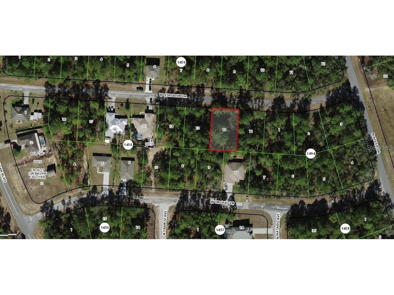 2276 W Striblin Drive Citrus Springs FL 34434 O6336326 image3