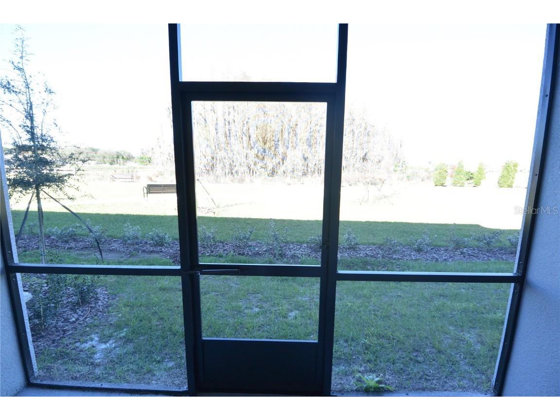 2277 Cerulean Sky Drive Lutz FL 33558 TB8422727 image12