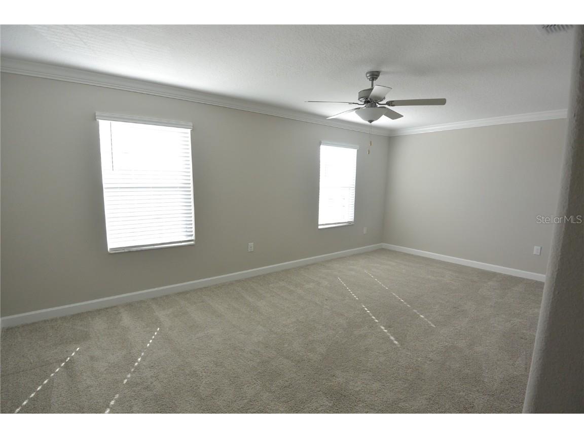 2277 Cerulean Sky Drive Lutz FL 33558 TB8422727 image14