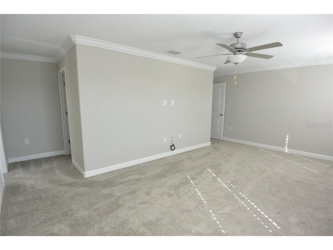 2277 Cerulean Sky Drive Lutz FL 33558 TB8422727 image16