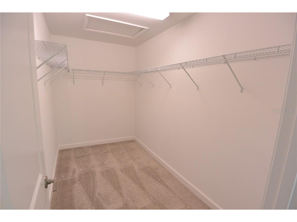 2277 Cerulean Sky Drive Lutz FL 33558 TB8422727 image19