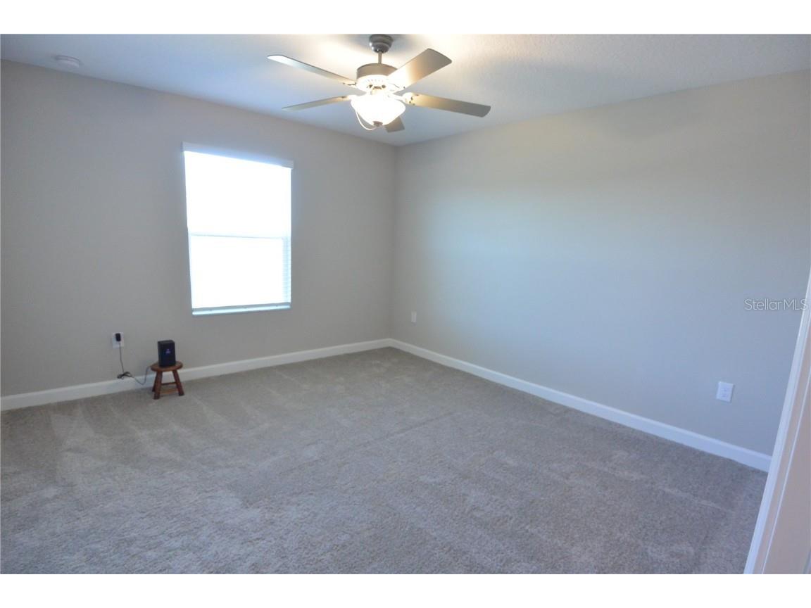 2277 Cerulean Sky Drive Lutz FL 33558 TB8422727 image22