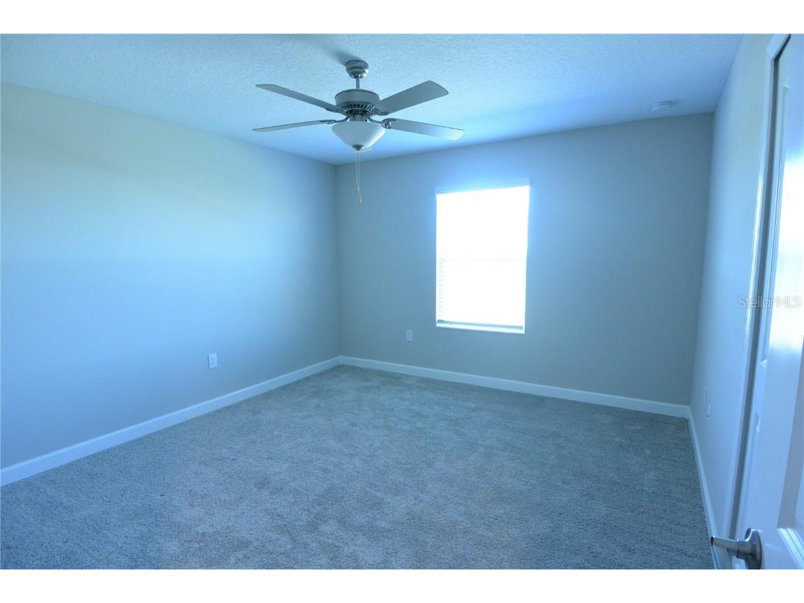 2277 Cerulean Sky Drive Lutz FL 33558 TB8422727 image26