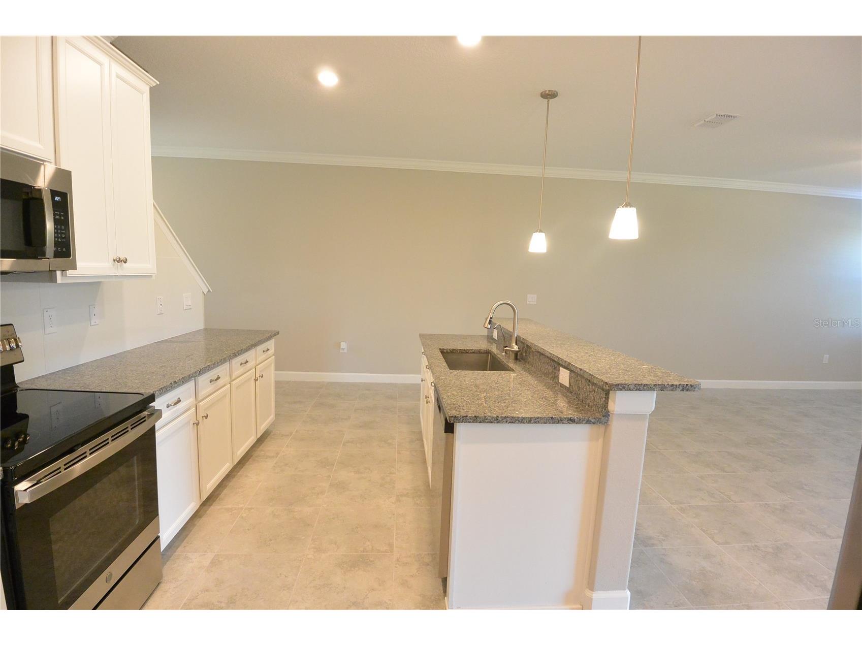2277 Cerulean Sky Drive Lutz FL 33558 TB8467721 image11