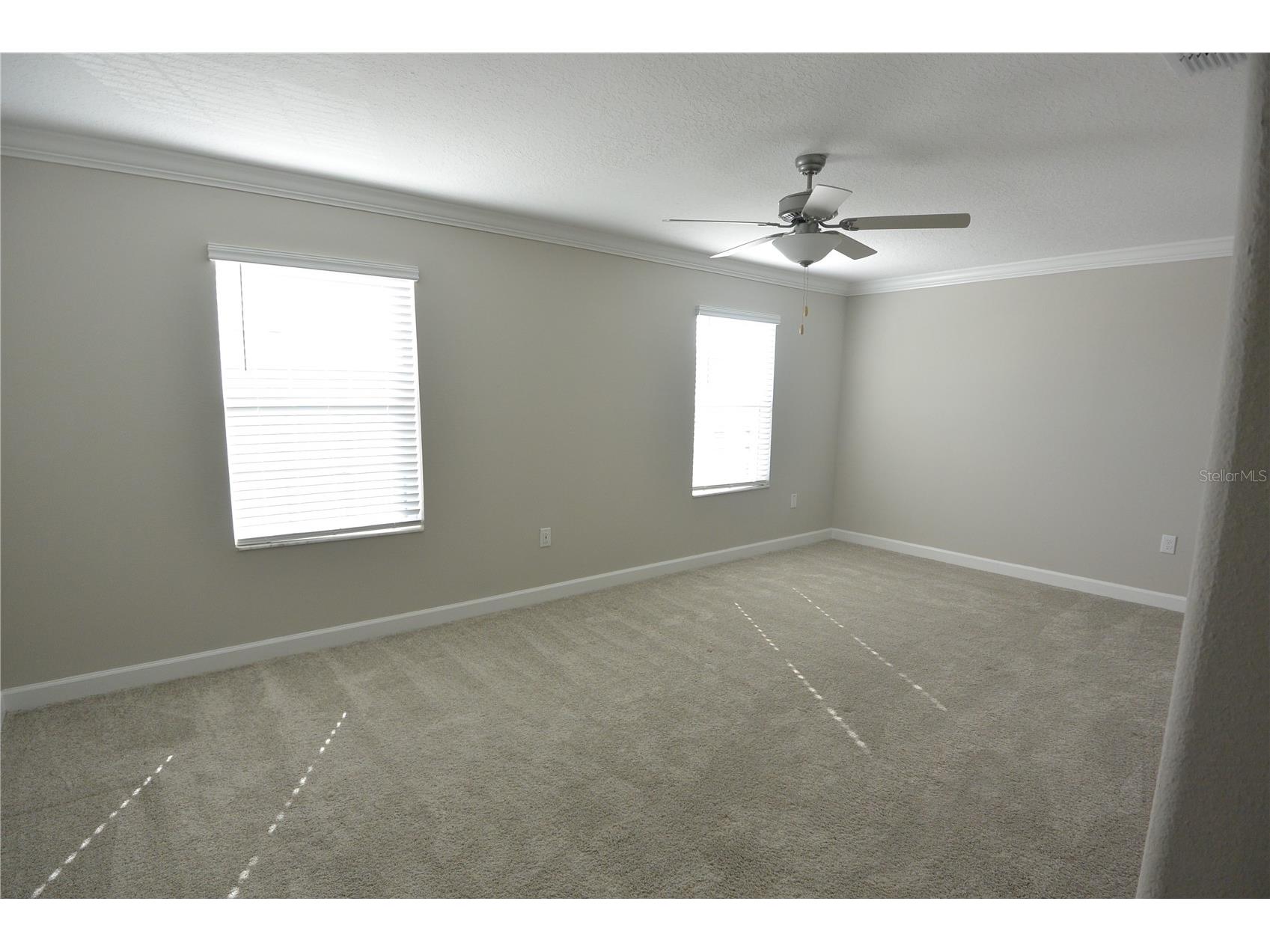 2277 Cerulean Sky Drive Lutz FL 33558 TB8467721 image13