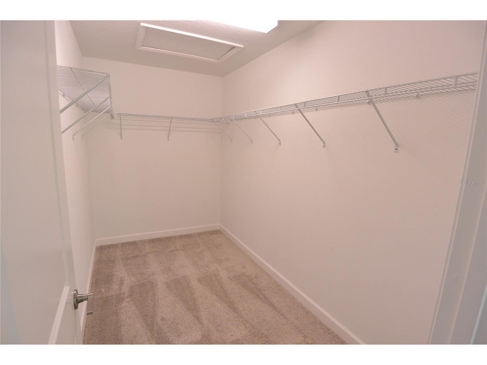 2277 Cerulean Sky Drive Lutz FL 33558 TB8467721 image18
