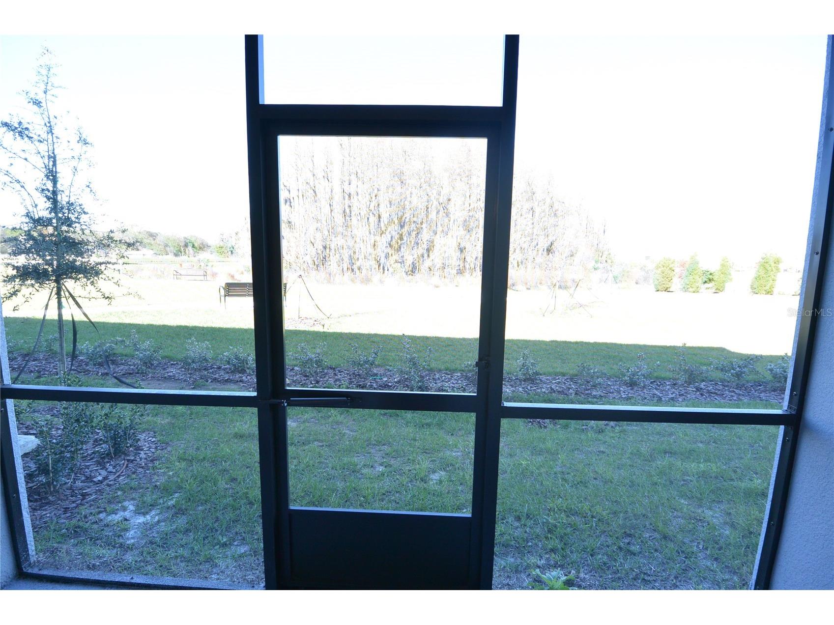 2277 Cerulean Sky Drive Lutz FL 33558 TB8467721 image26