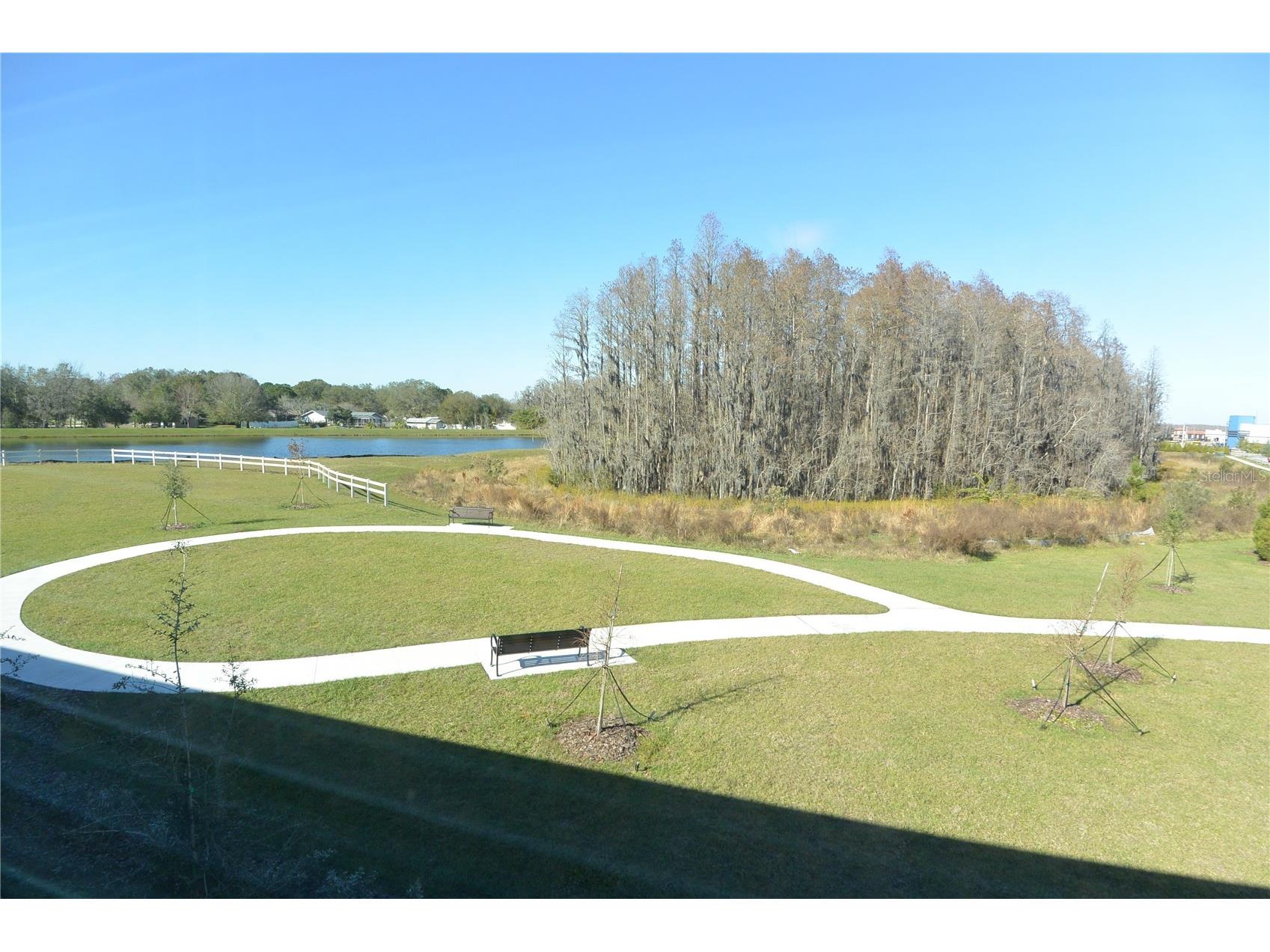 2277 Cerulean Sky Drive Lutz FL 33558 TB8467721 image27