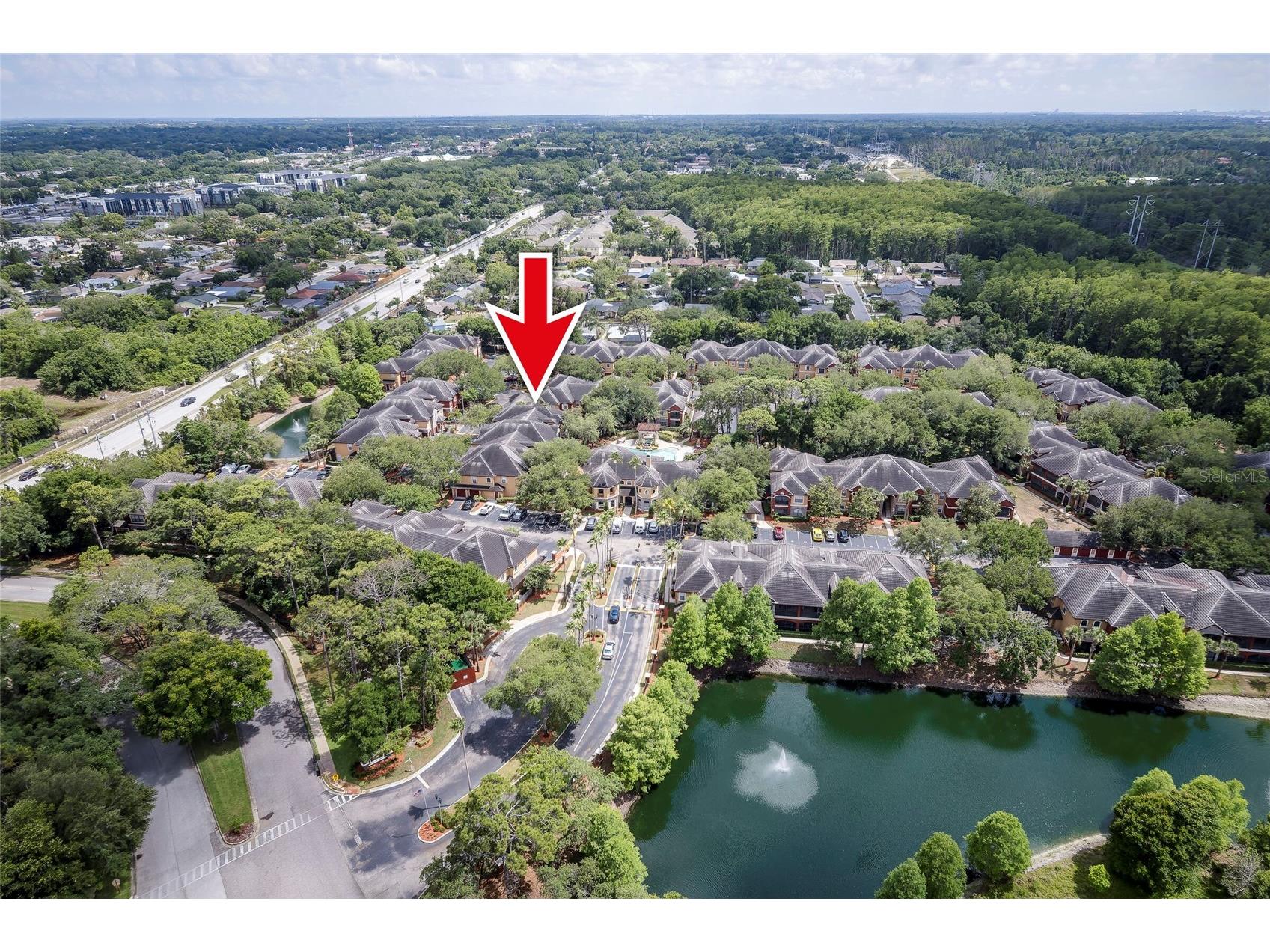 2277 Chianti Place #3-0039 Palm Harbor FL 34683 TB8507032 image26