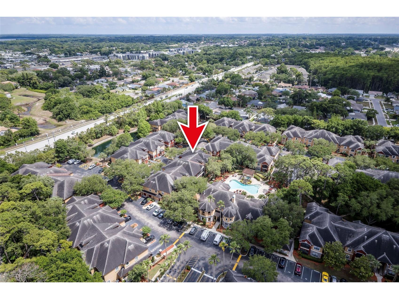 2277 Chianti Place #3-0039 Palm Harbor FL 34683 TB8507032 image27