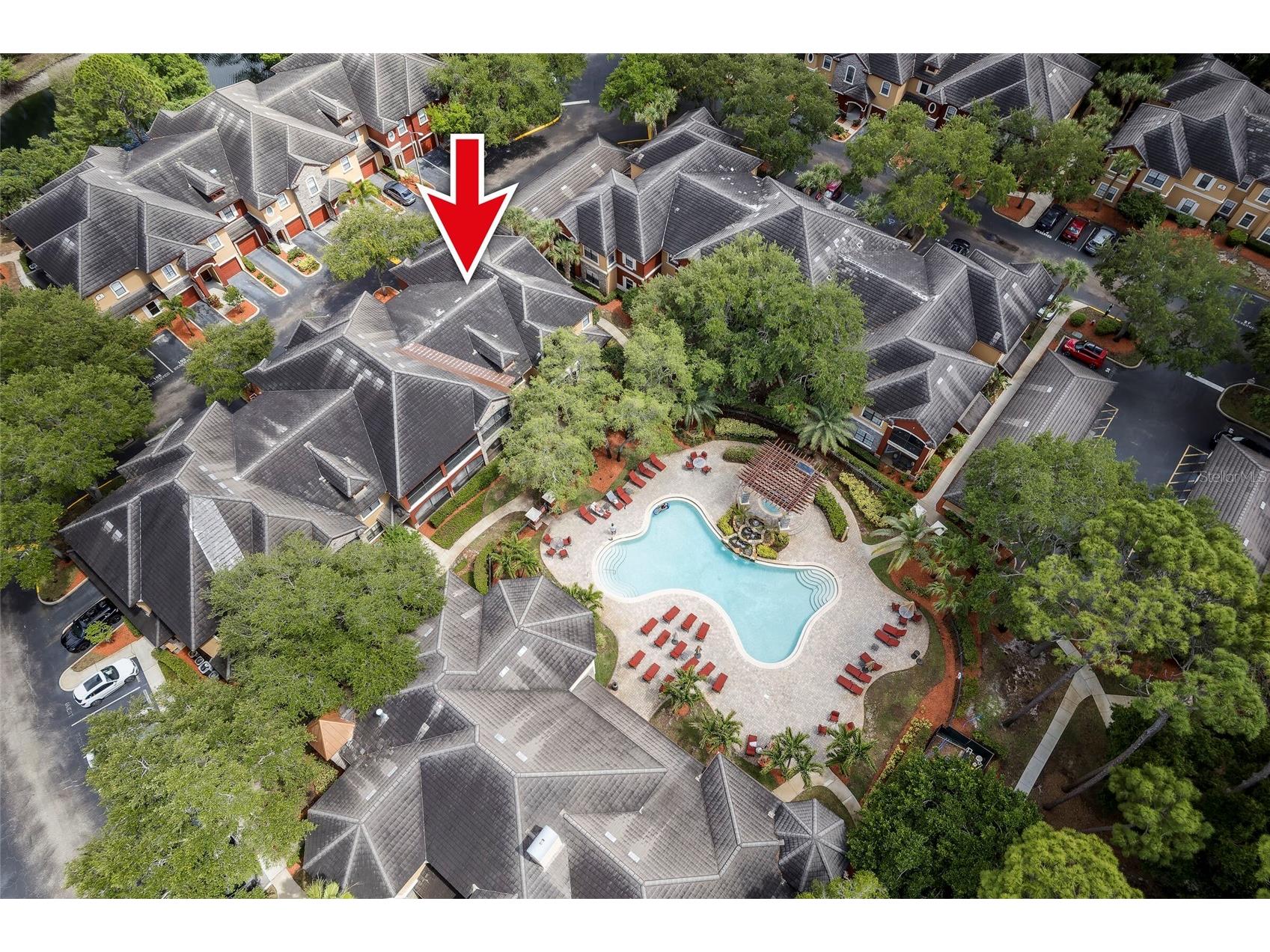 2277 Chianti Place #3-0039 Palm Harbor FL 34683 TB8507032 image28