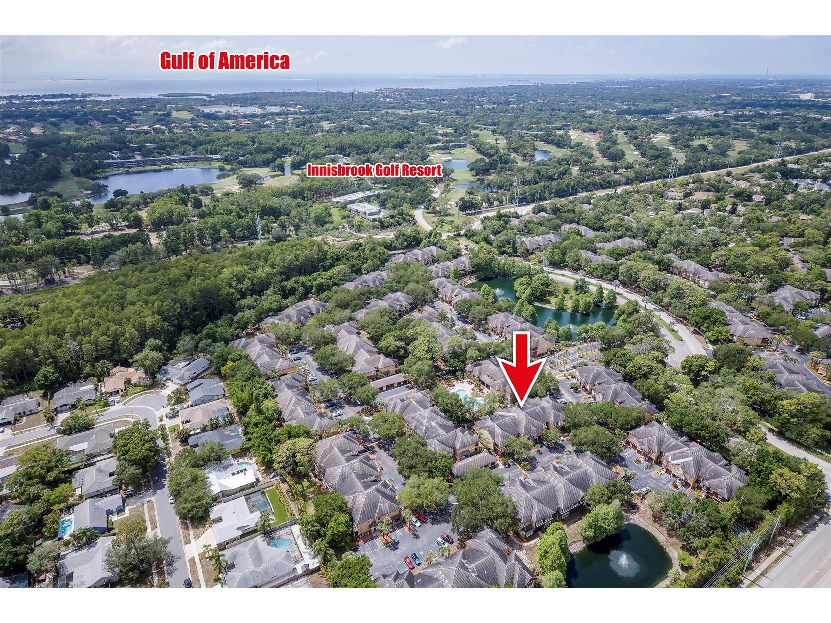 2277 Chianti Place #3-0039 Palm Harbor FL 34683 TB8507032 image29