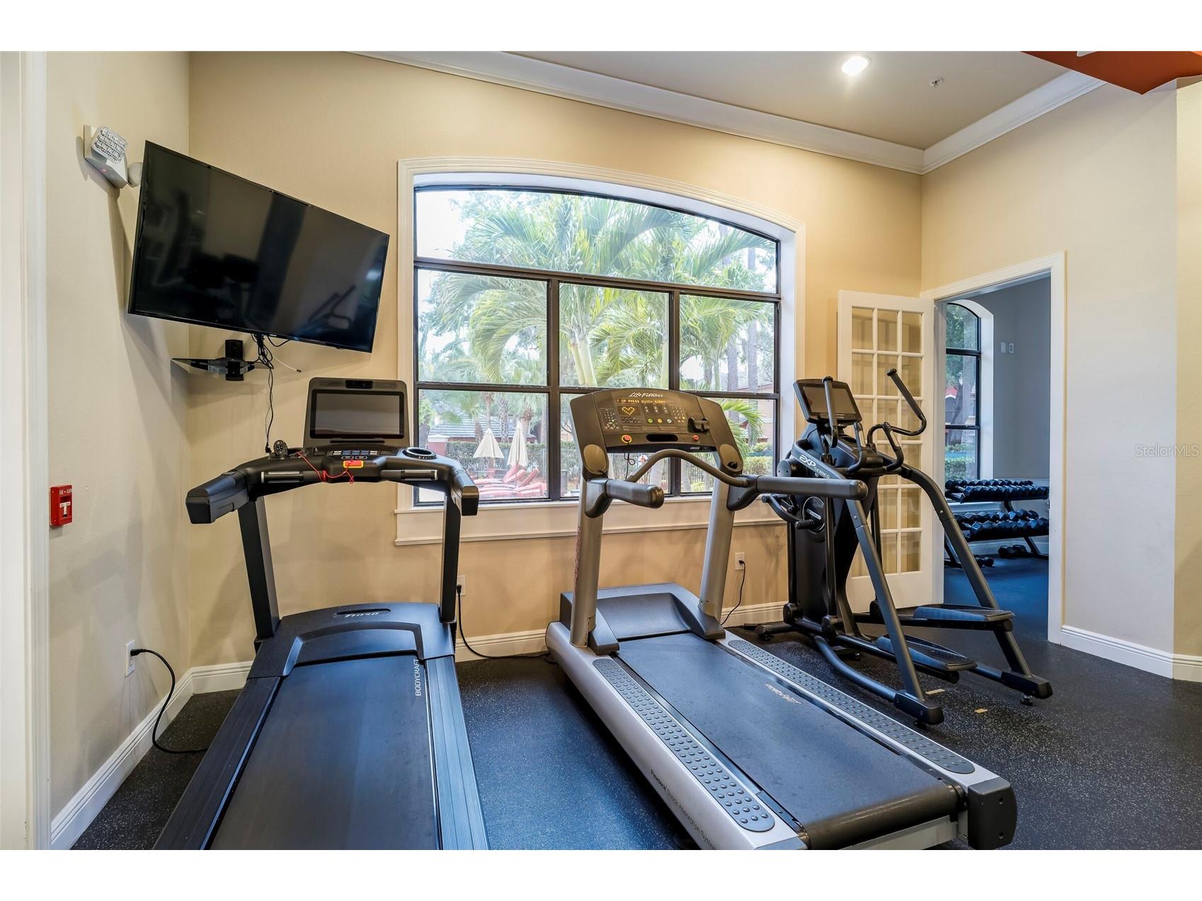 2277 Chianti Place #3-0039 Palm Harbor FL 34683 TB8507032 image45
