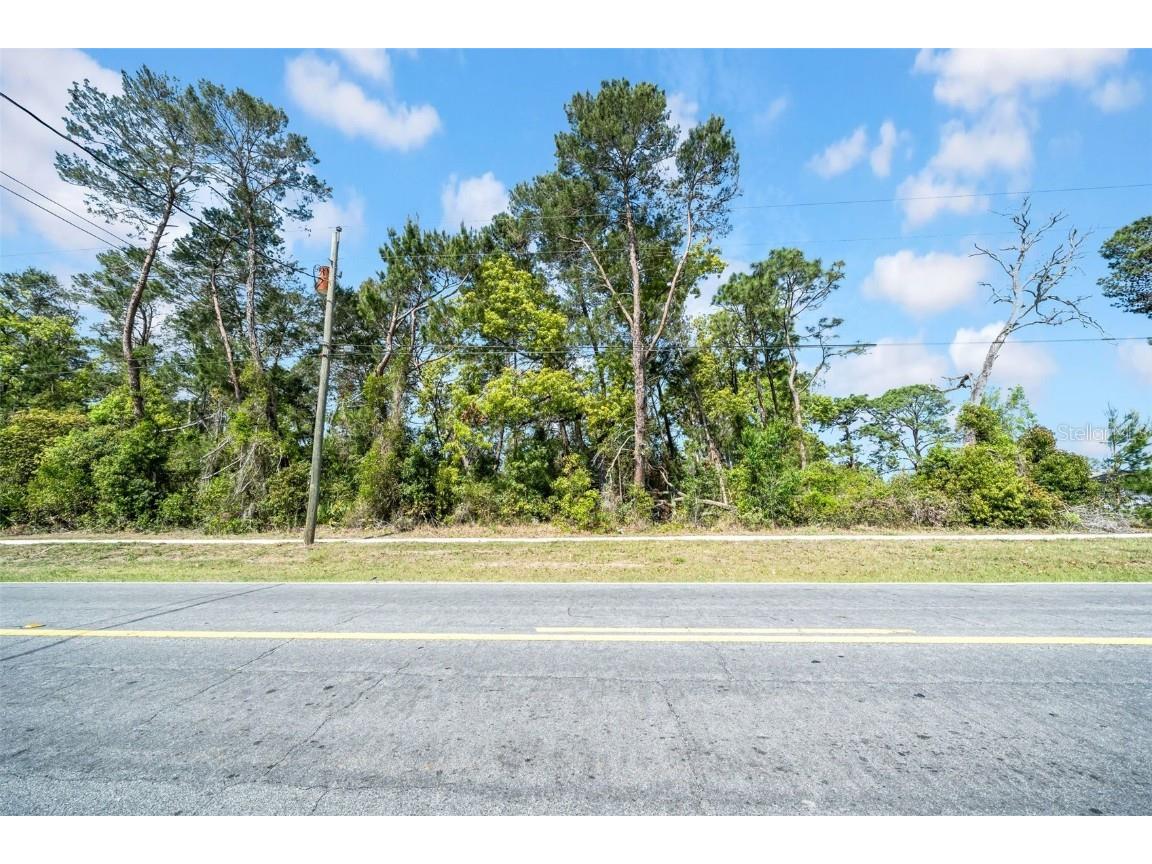 2278 Landover Boulevard Spring Hill FL 34608 TB8370941 image1