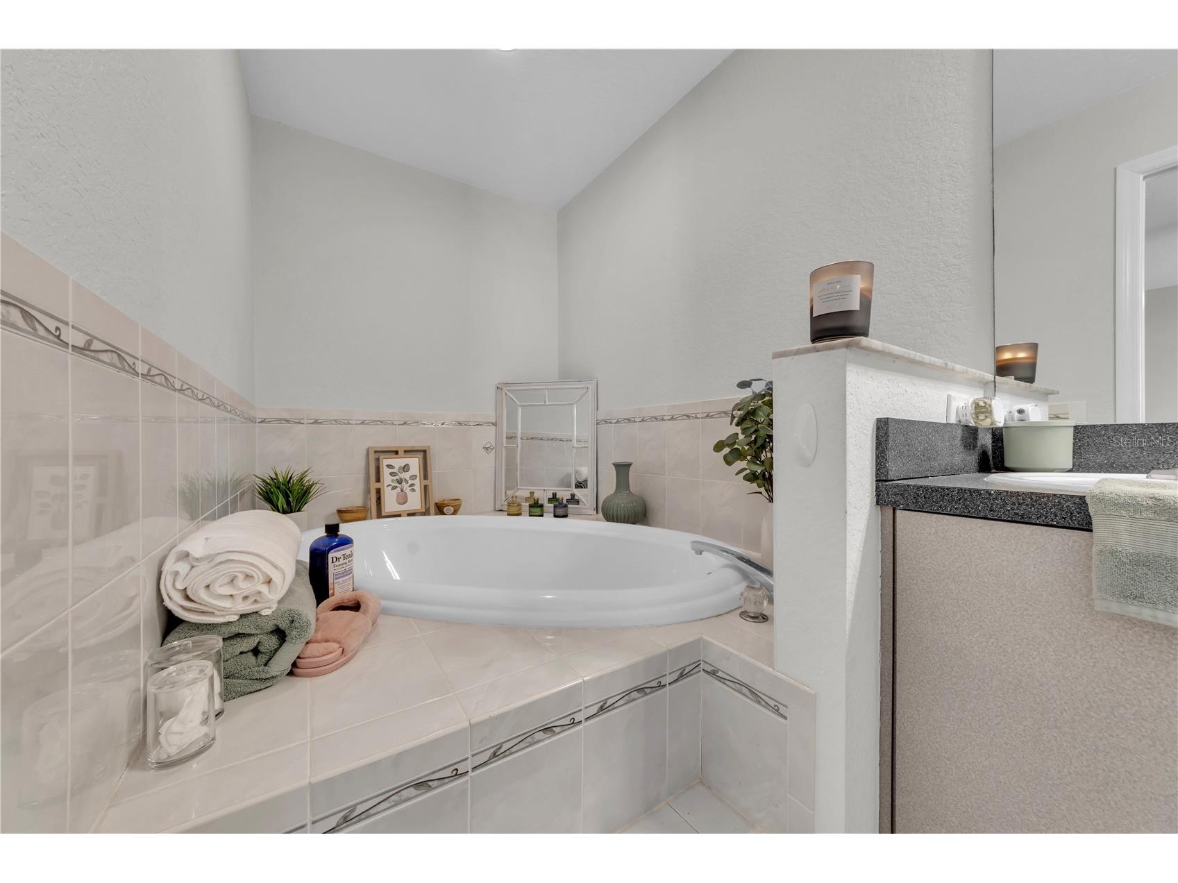 2278 Pinta Avenue Spring Hill FL 34609 TB8473885 image17