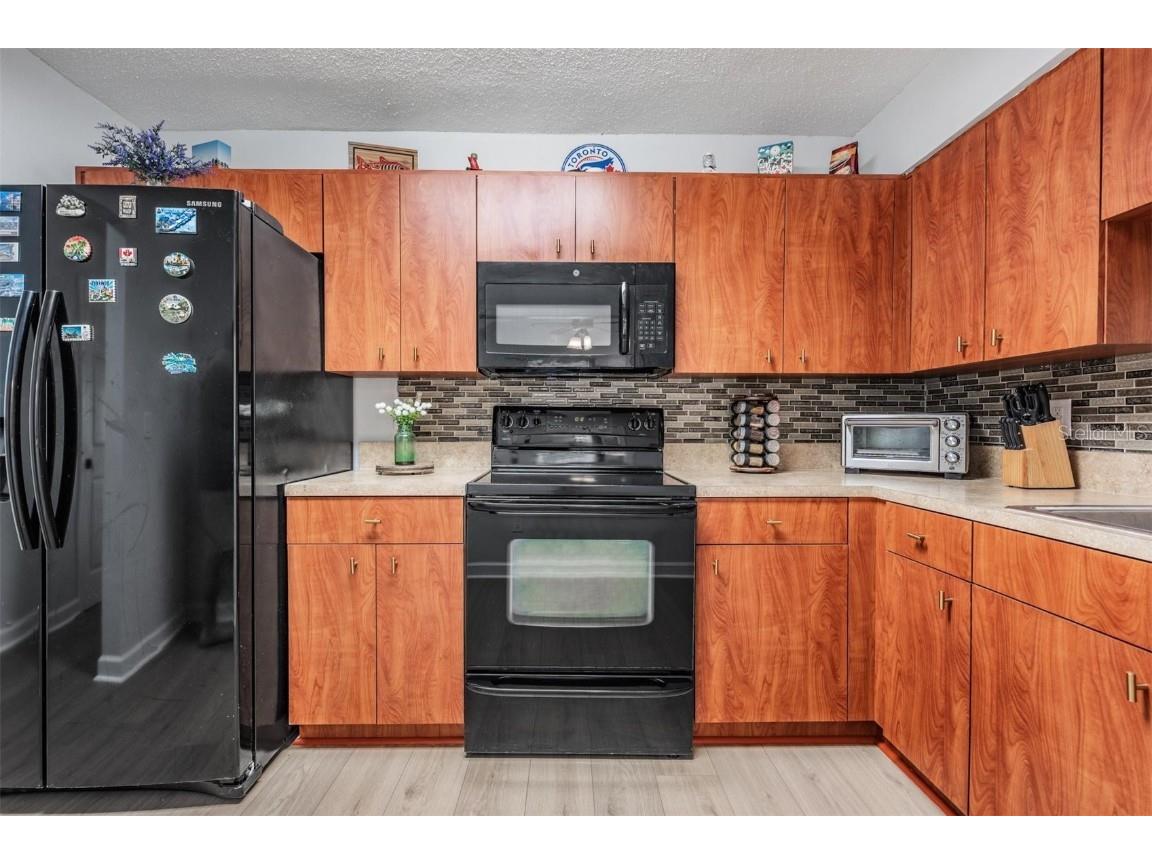 22789 Penny Loop Land O Lakes FL 34639 TB8442845 image14