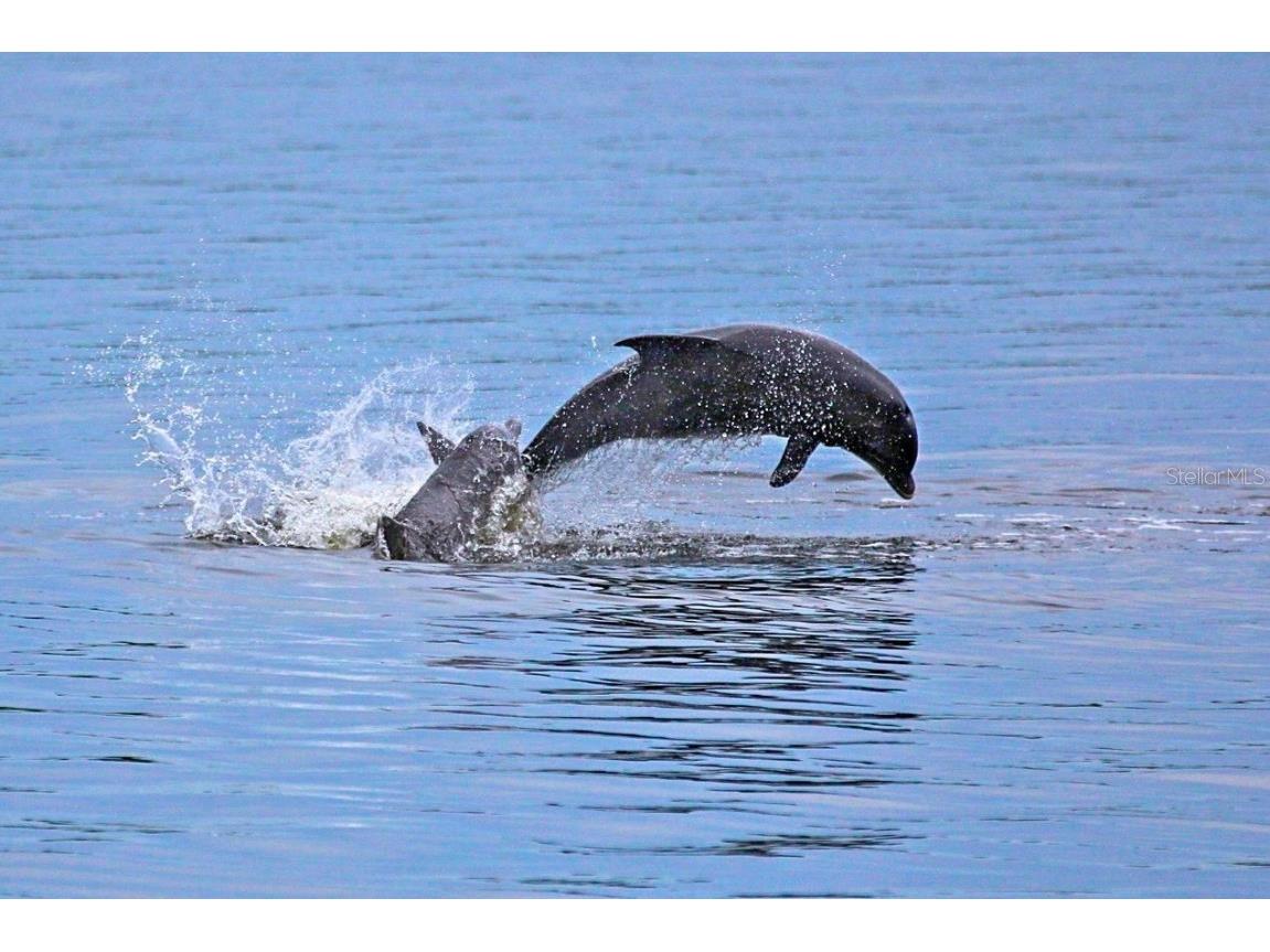 2279 Mermaid Point NE Saint Petersburg FL 33703 - BAYOU GRANDE/TAMPA BAY TB8394418 image49