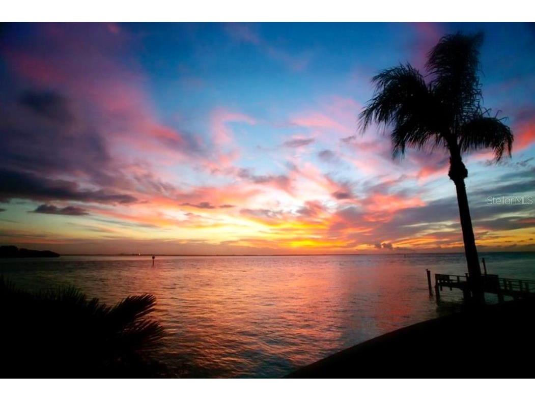 2279 Mermaid Point NE Saint Petersburg FL 33703 - BAYOU GRANDE/TAMPA BAY TB8394418 image56