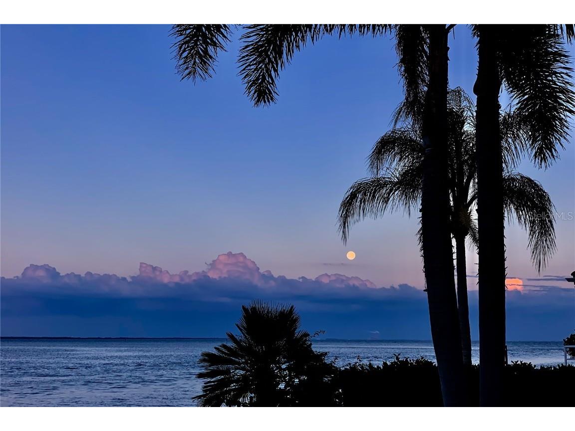 2279 Mermaid Point NE Saint Petersburg FL 33703 - BAYOU GRANDE/TAMPA BAY TB8394418 image92