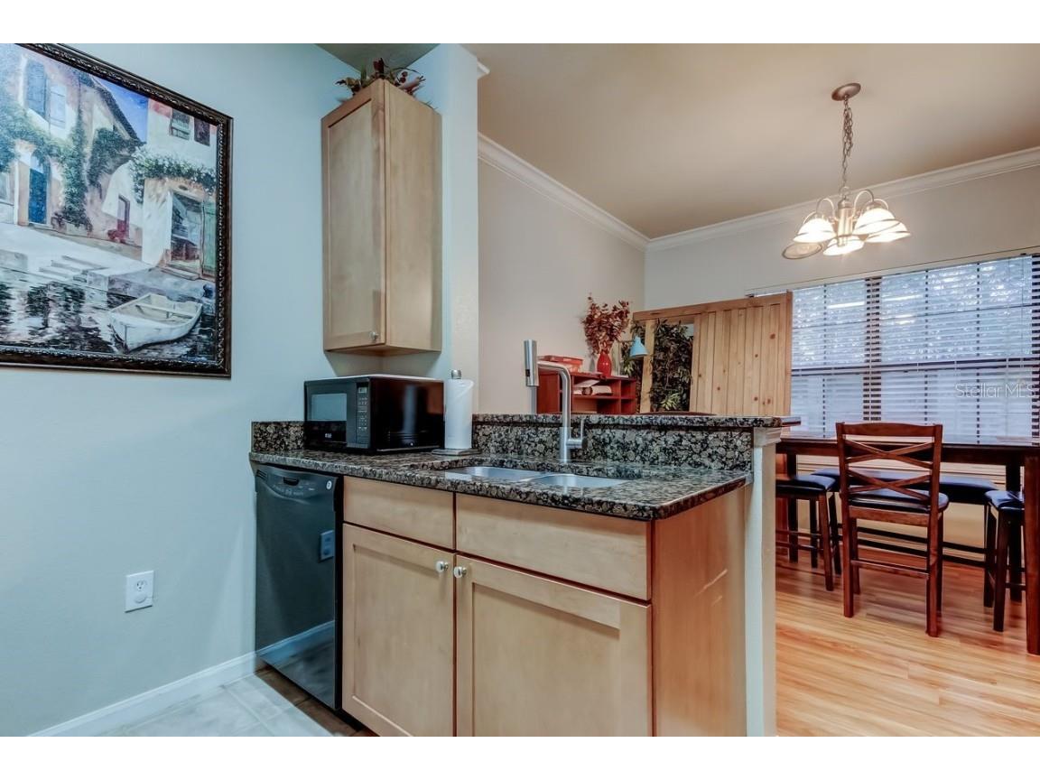 2279 Portofino Place #-2015 Palm Harbor FL 34683 TB8458556 image15