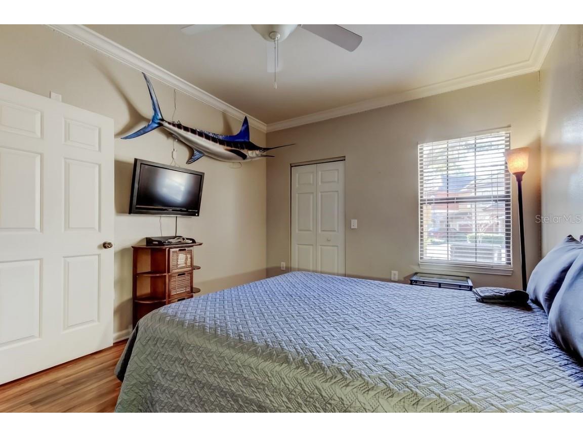 2279 Portofino Place #-2015 Palm Harbor FL 34683 TB8458556 image22