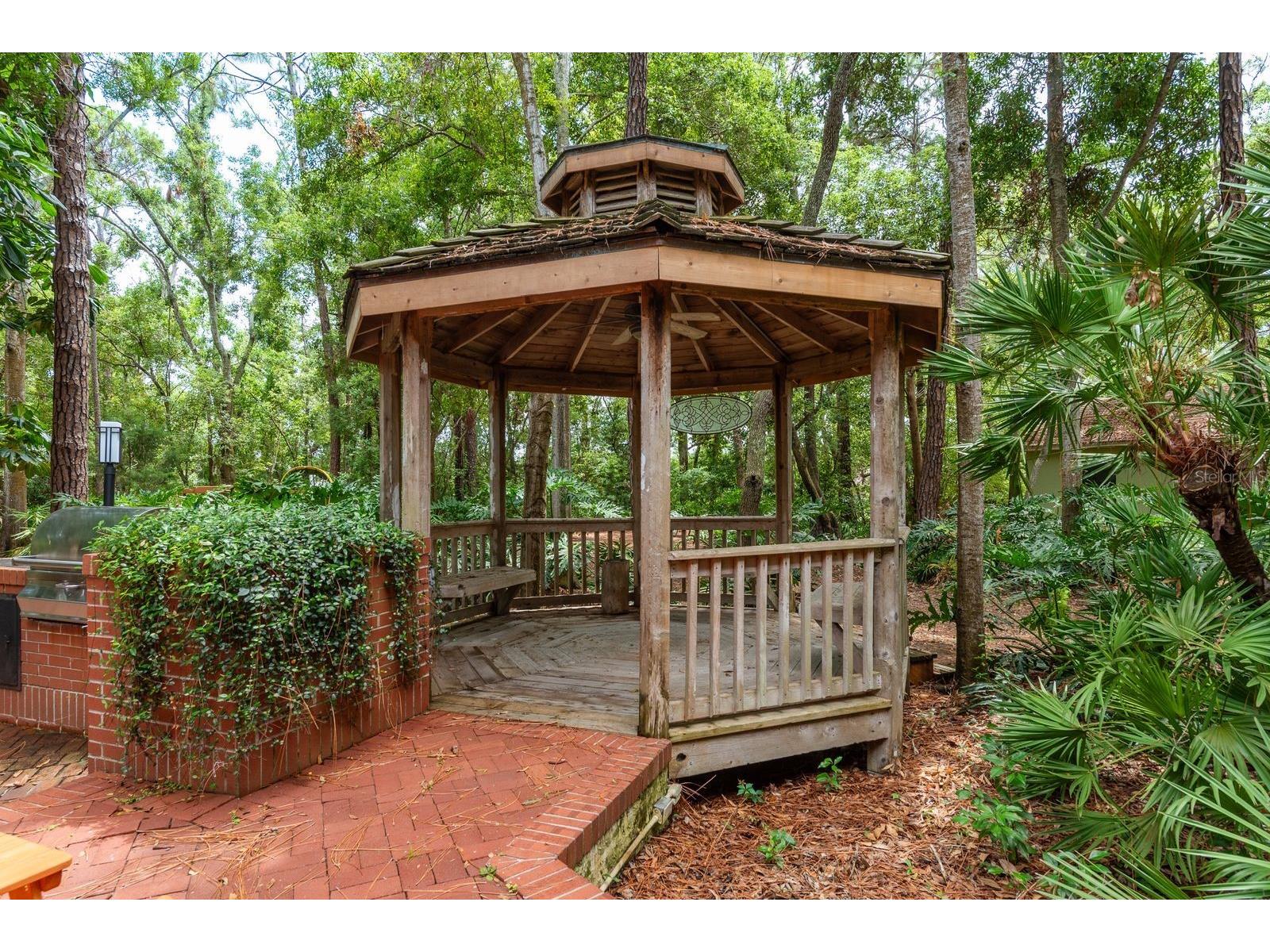 2279 Ranchette Lane Dunedin FL 34698 TB8386283 image10