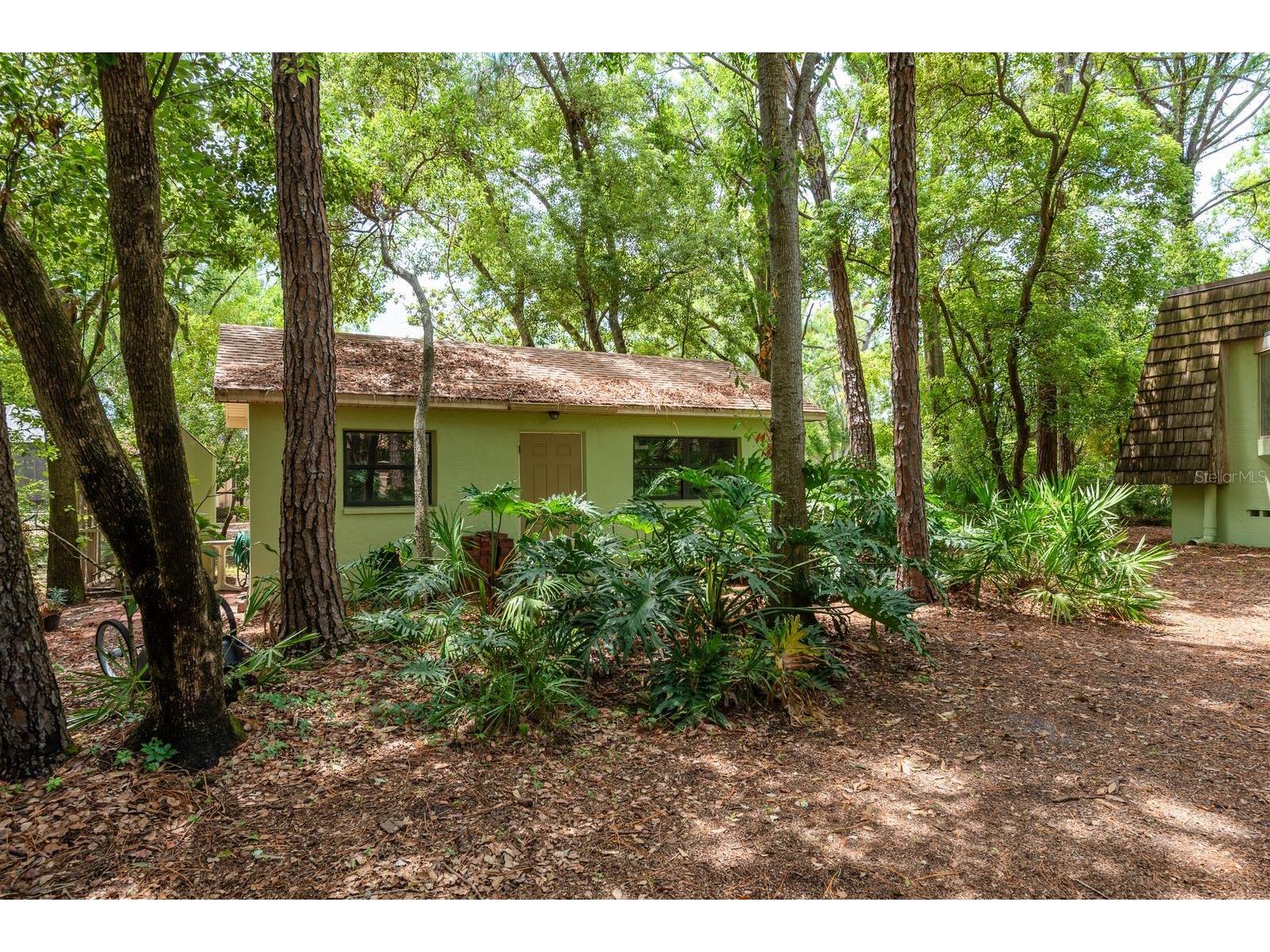 2279 Ranchette Lane Dunedin FL 34698 TB8386283 image44