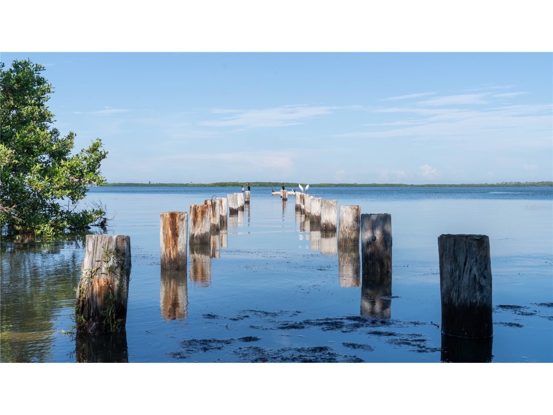 2279 Ranchette Lane Dunedin FL 34698 TB8386283 image49