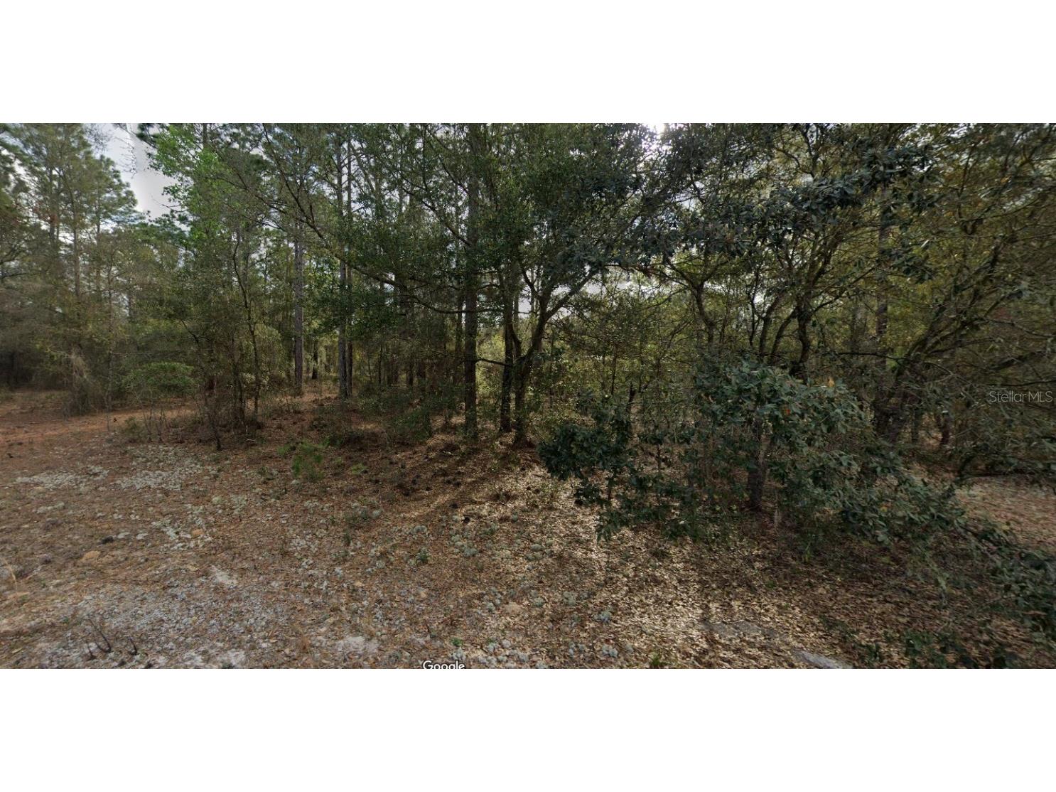 228 14th Street Interlachen FL 32148 TB8418863 image1