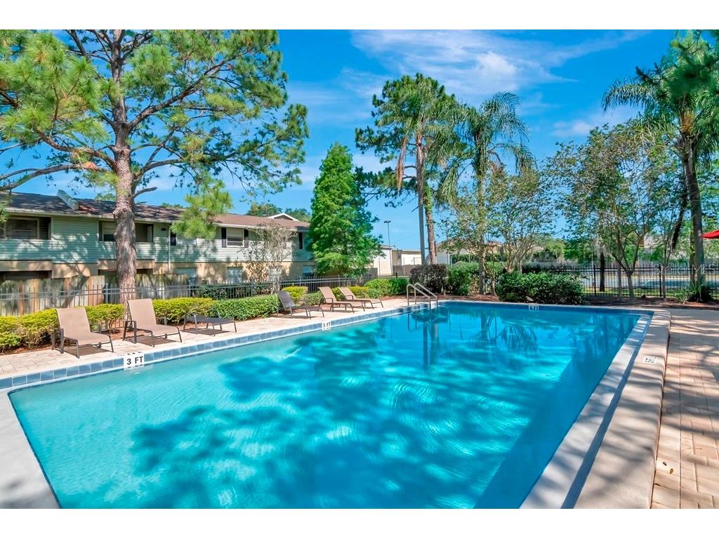 228 Berry Tree Place Brandon FL 33510 TB8484720 image29