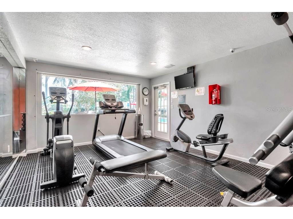 228 Berry Tree Place Brandon FL 33510 TB8484720 image30