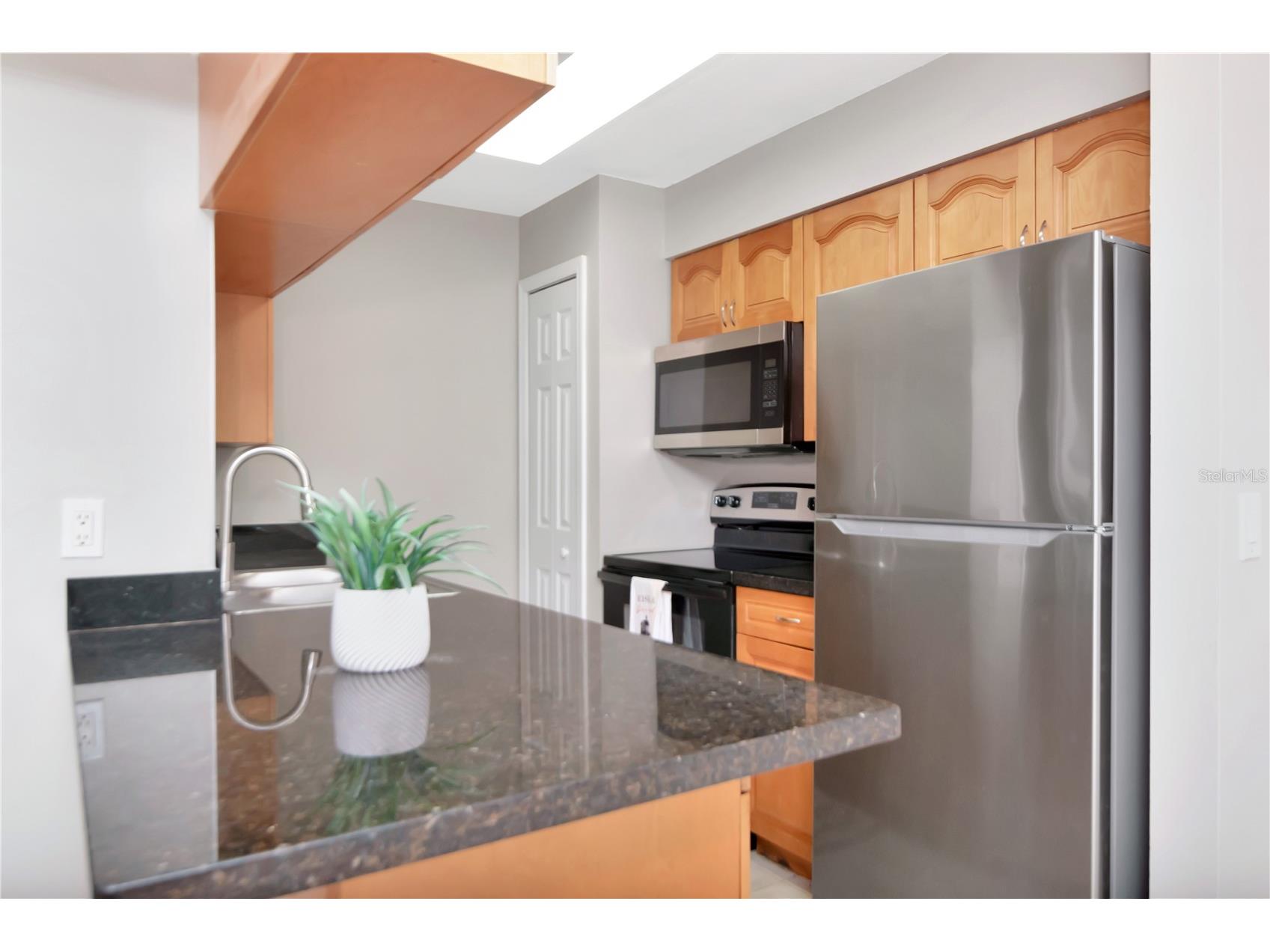 228 Berry Tree Place Brandon FL 33510 TB8484720 image9