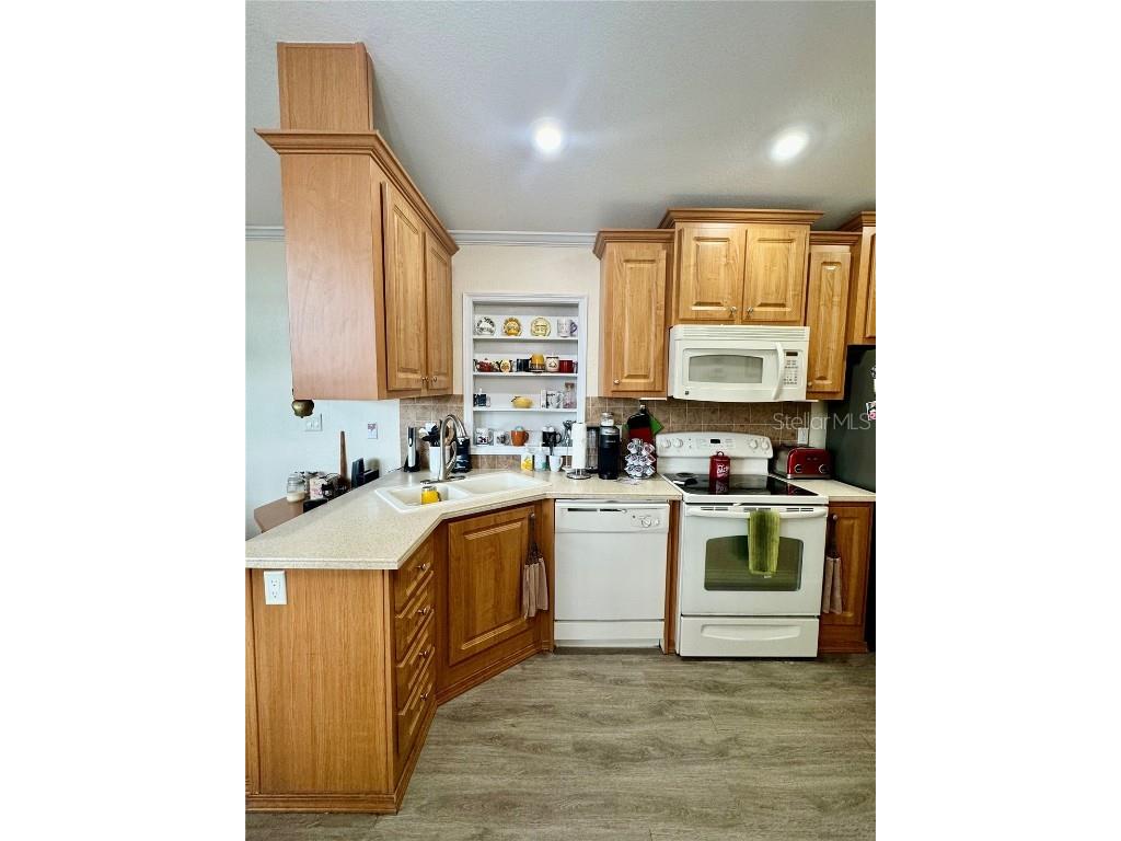 228 Broken Woods Boulevard Davenport FL 33837 O6285971 image17