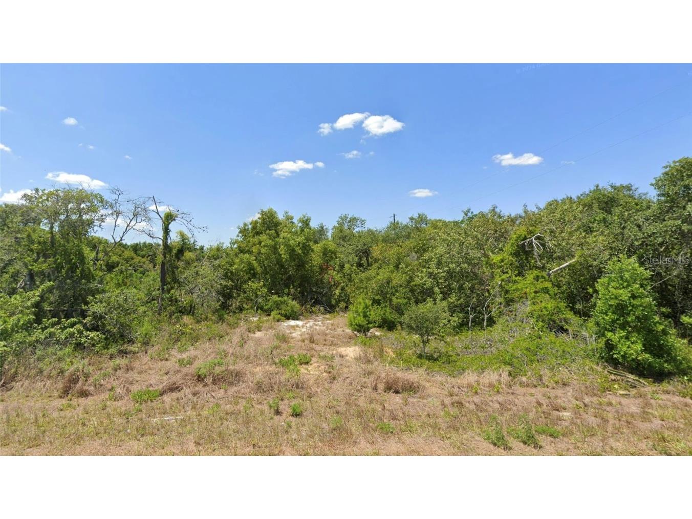 228 Hallmark Avenue Lake Placid FL 33852 O6304128 image1