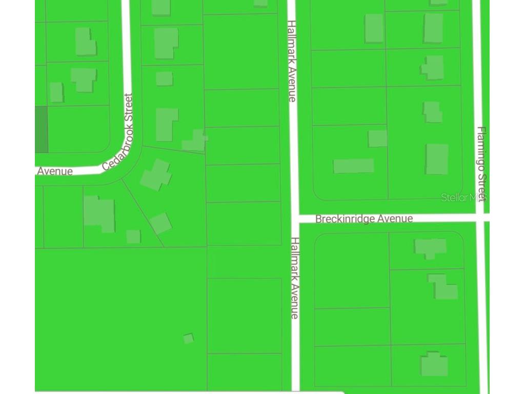 228 Hallmark Avenue Lake Placid FL 33852 O6304128 image4