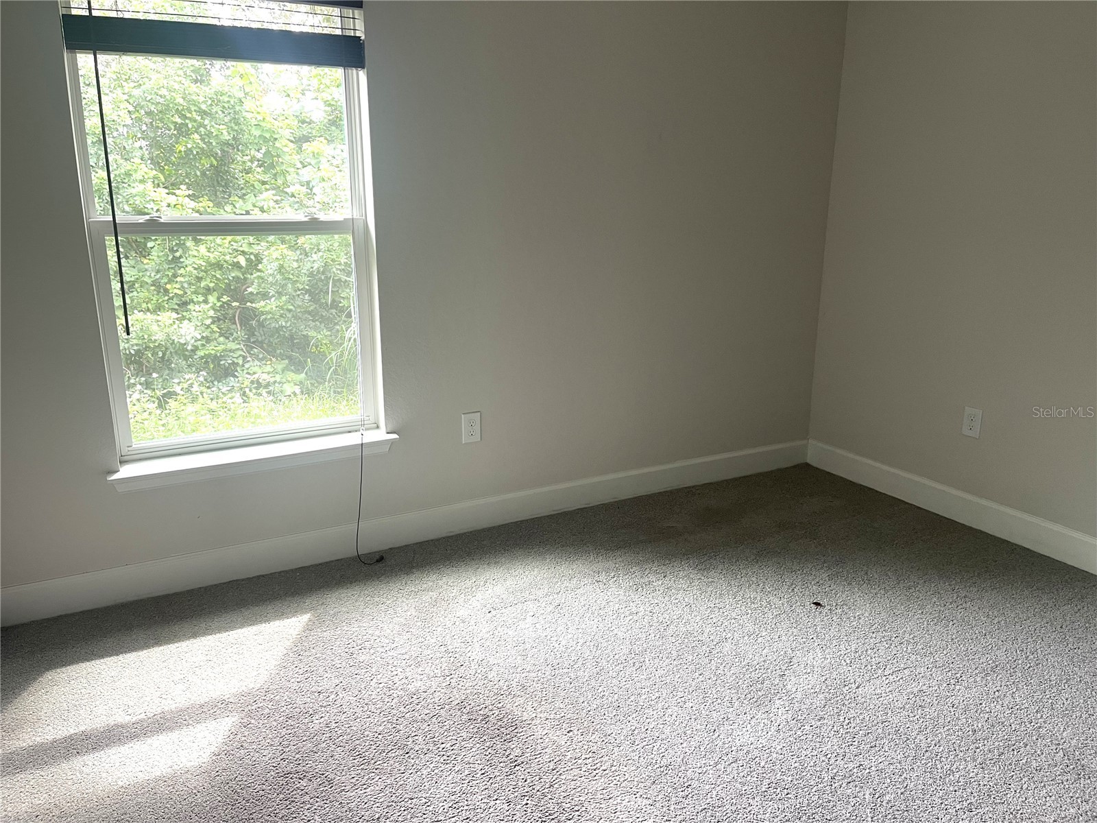 228 Krenson Bay Loop Winter Haven FL 33881 O6349627 image18