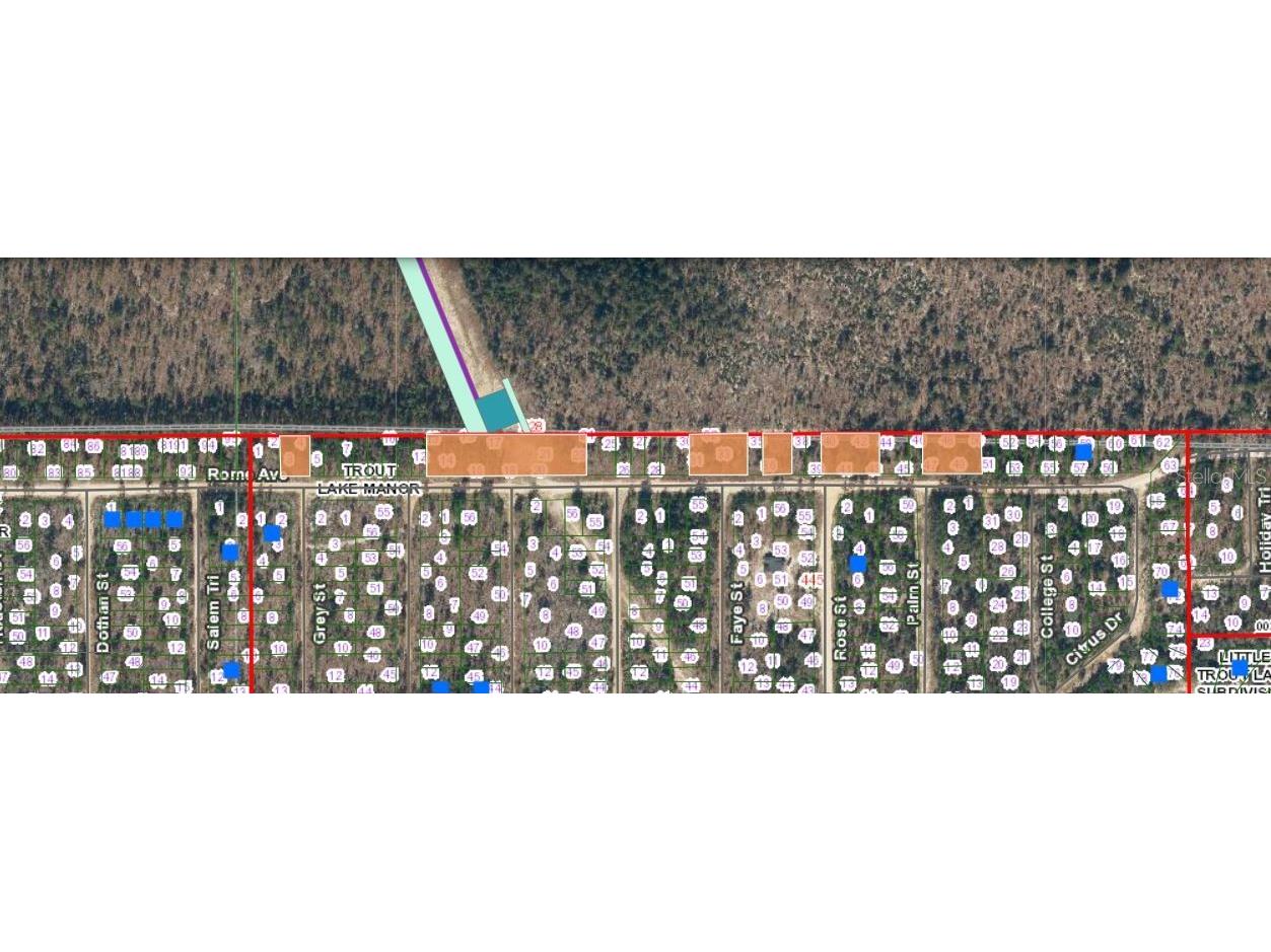 228 Rome Ave Interlachen FL 32148 O6293469 image1