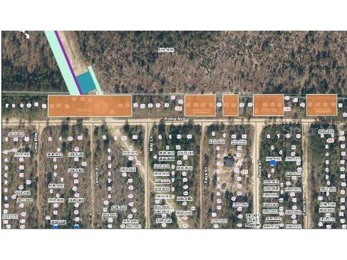 228 Rome Ave Interlachen FL 32148 O6293469 image3