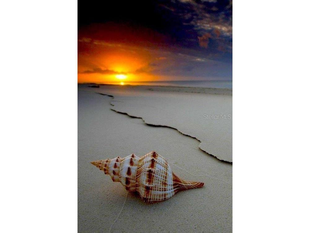 228 Rotonda Circle Rotonda West FL 33947 D6145021 image72