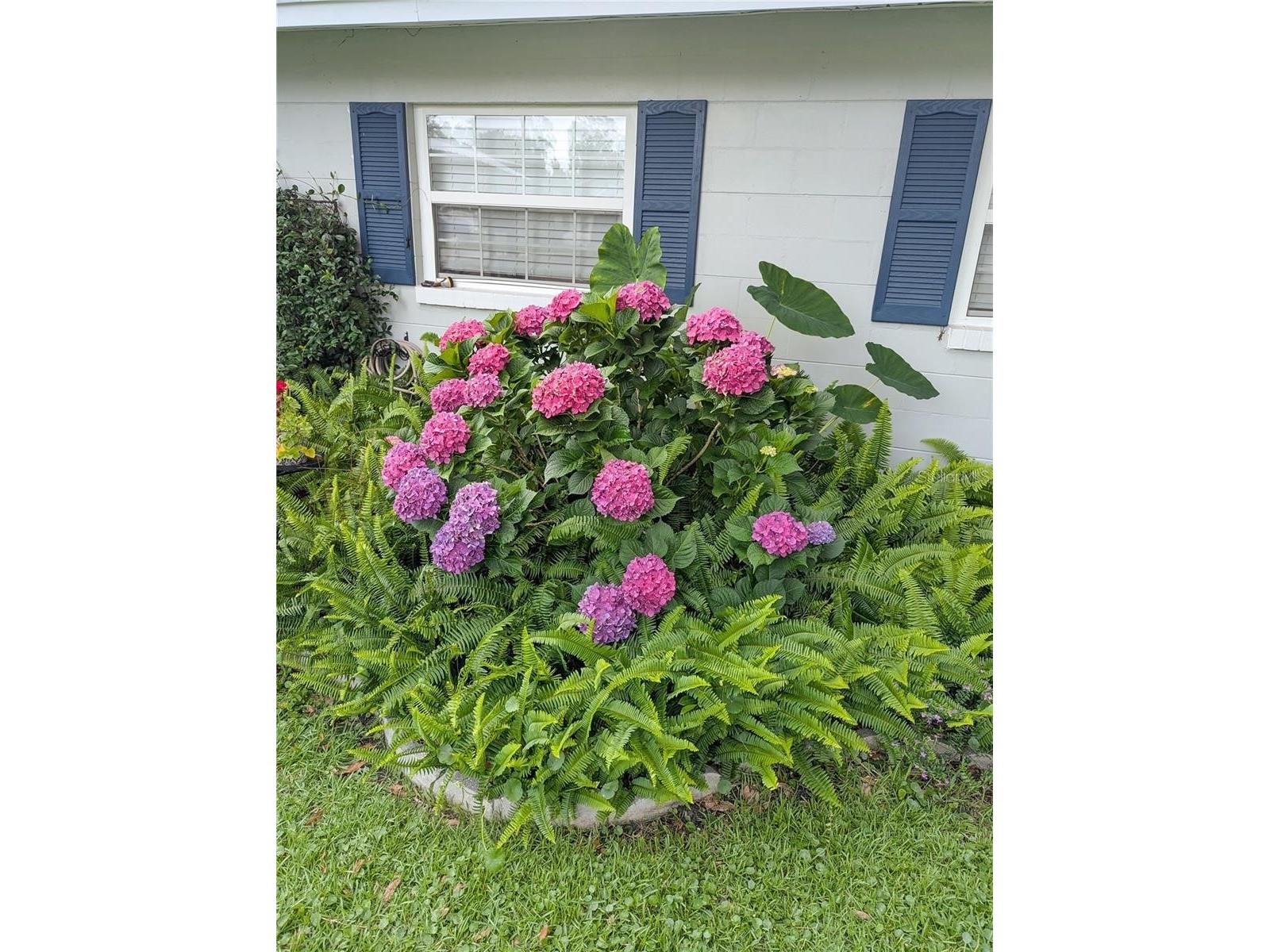 228 SE Oak Hill Street Lake City FL 32025 GC539077 image6