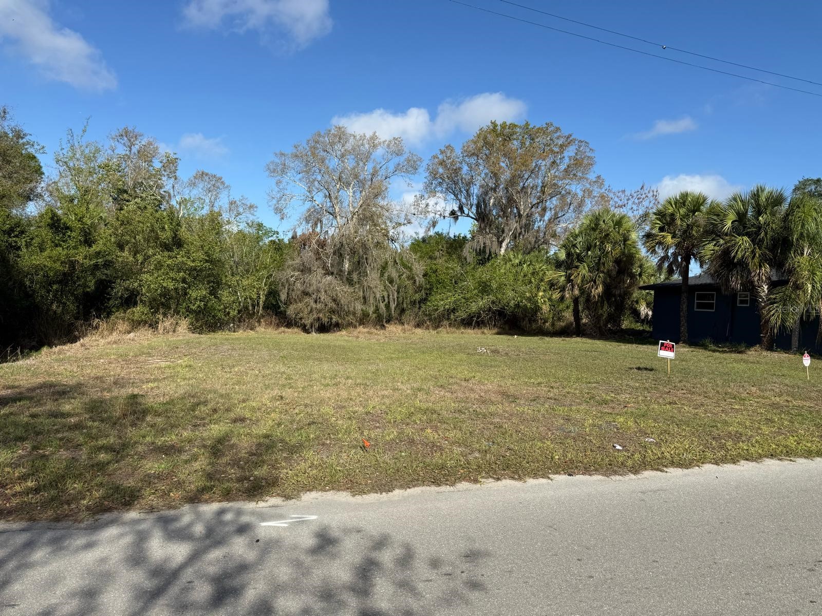 228 Singleton Avenue Arcadia FL 34266 O6389776 image4