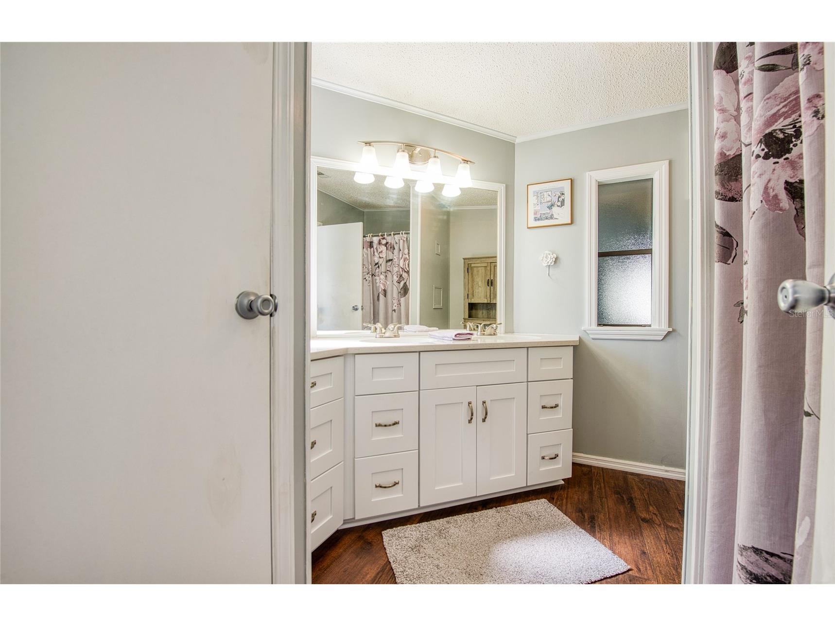 228 Tarpon Lane Oldsmar FL 34677 TB8506652 image25