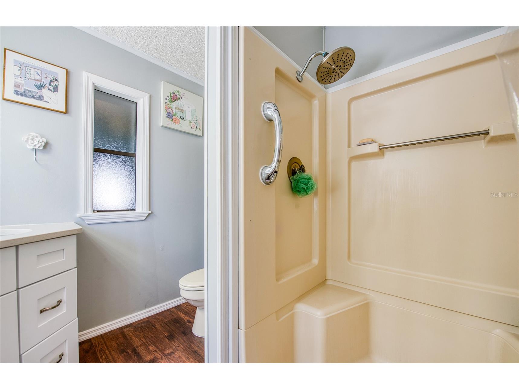 228 Tarpon Lane Oldsmar FL 34677 TB8506652 image28