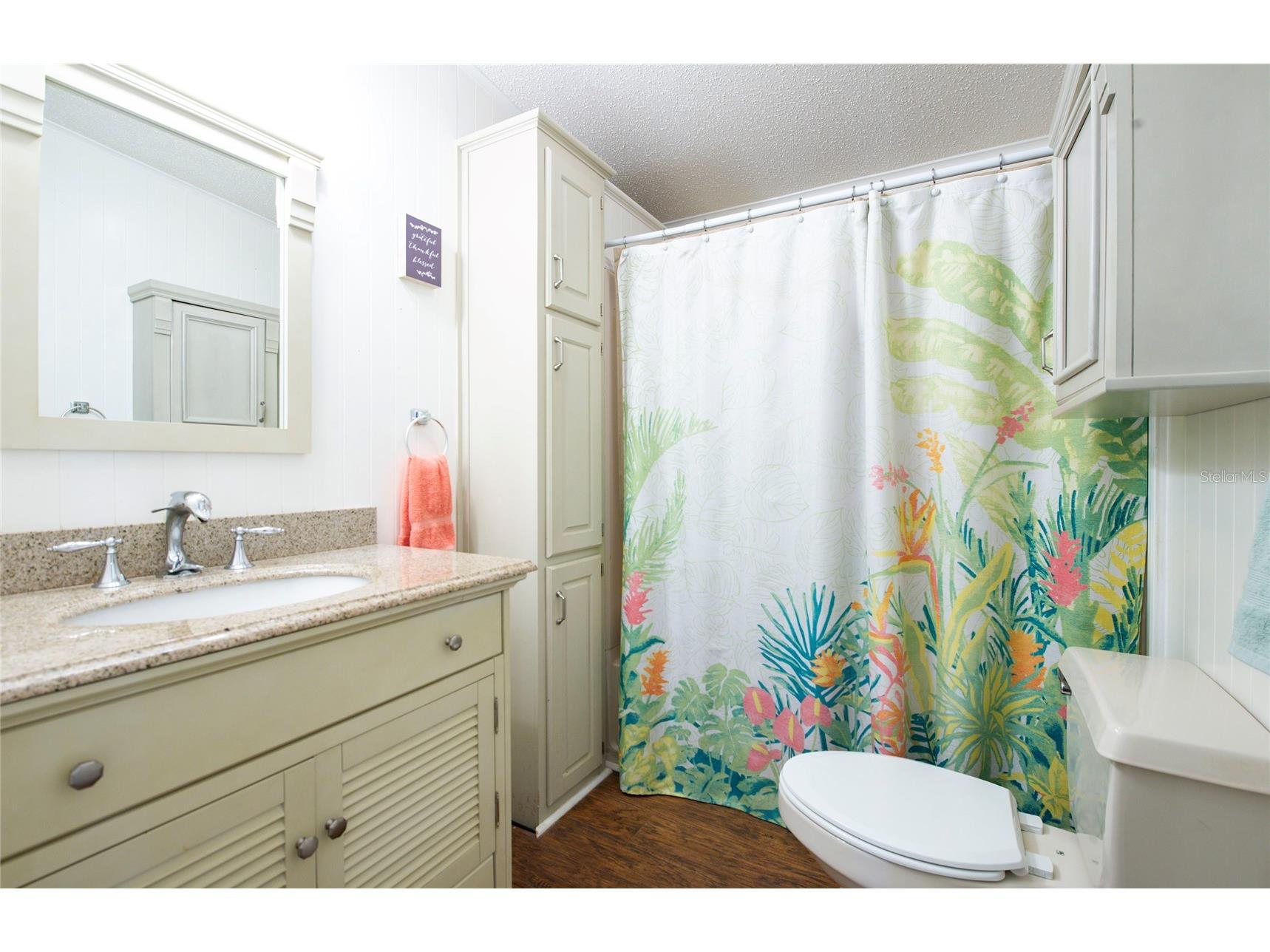 228 Tarpon Lane Oldsmar FL 34677 TB8506652 image31