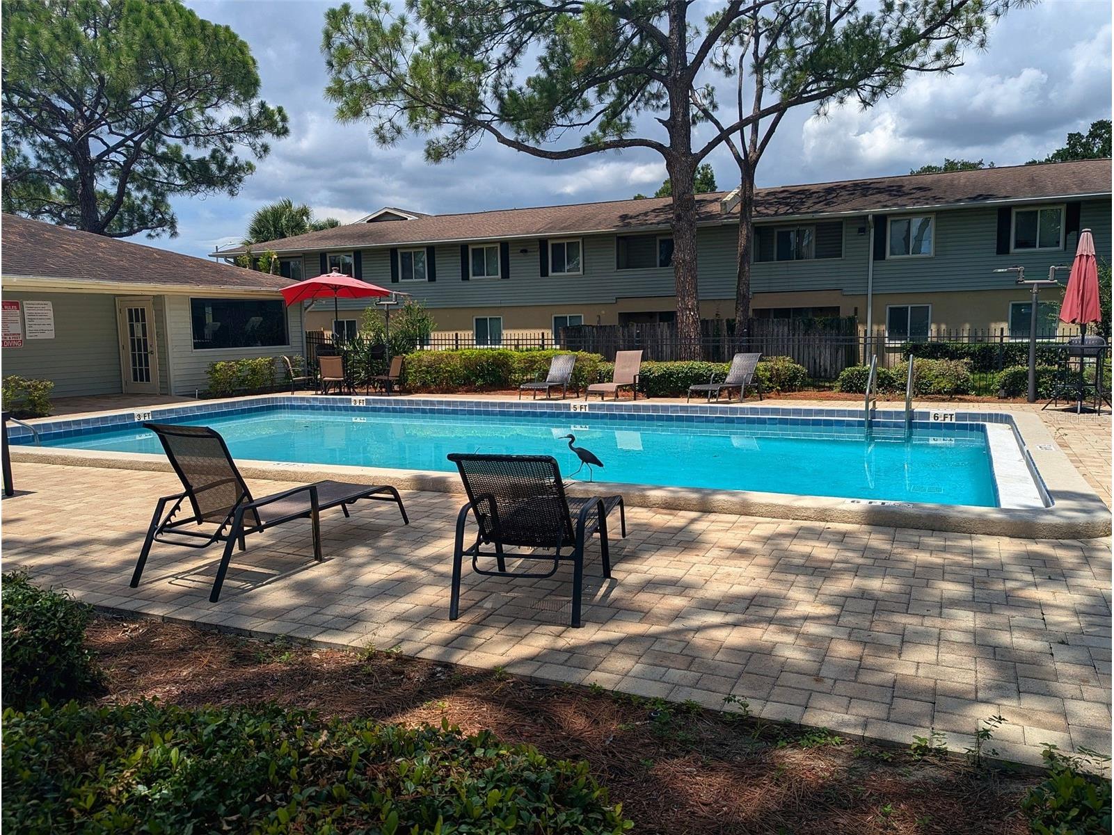 228 Thorn Tree Place #228 Brandon FL 33510 TB8519857 image29