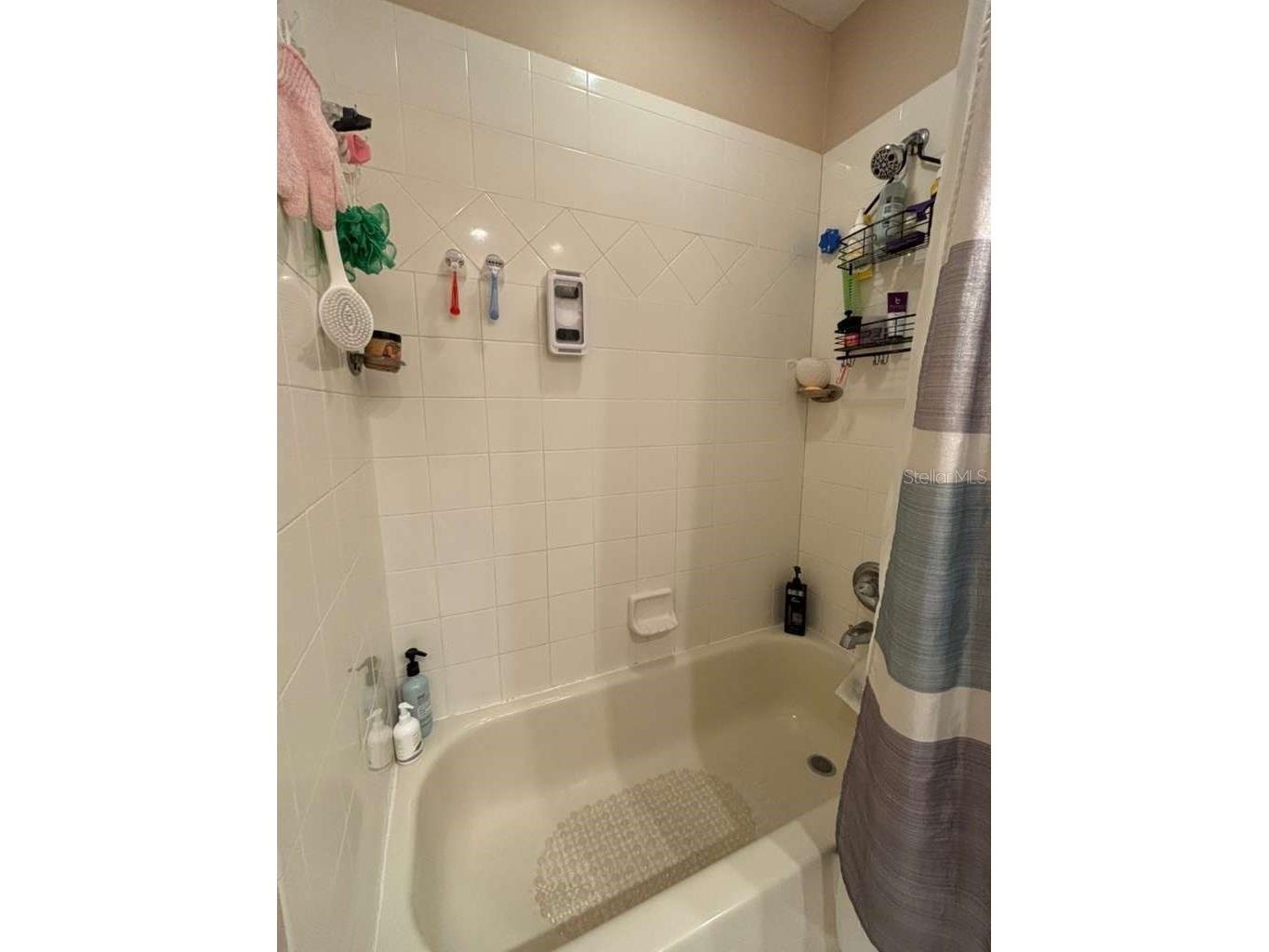 2280 Chatham Place Drive Orlando FL 32824 R4911286 image19