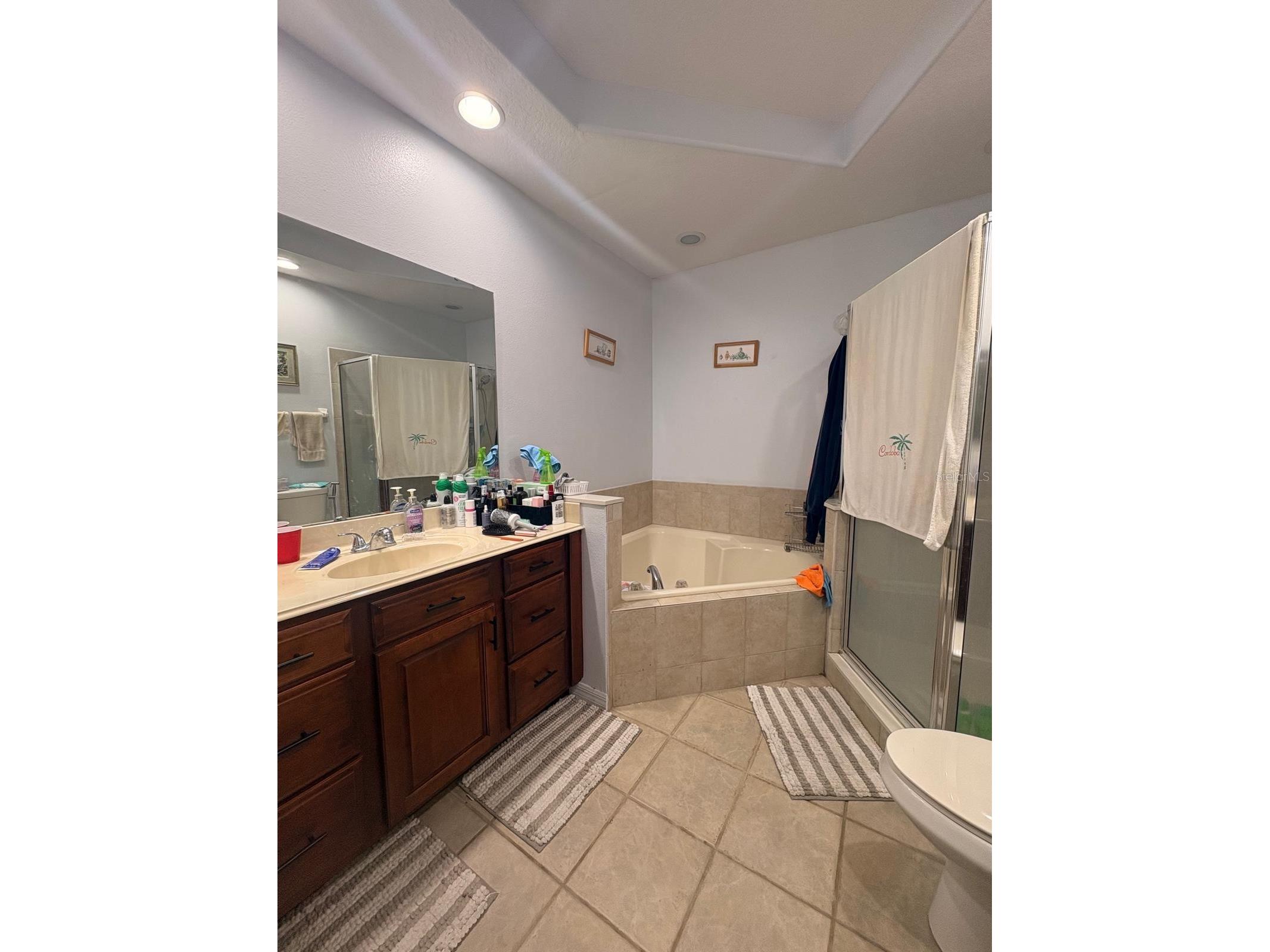 2280 Chatham Place Drive Orlando FL 32824 R4911286 image23