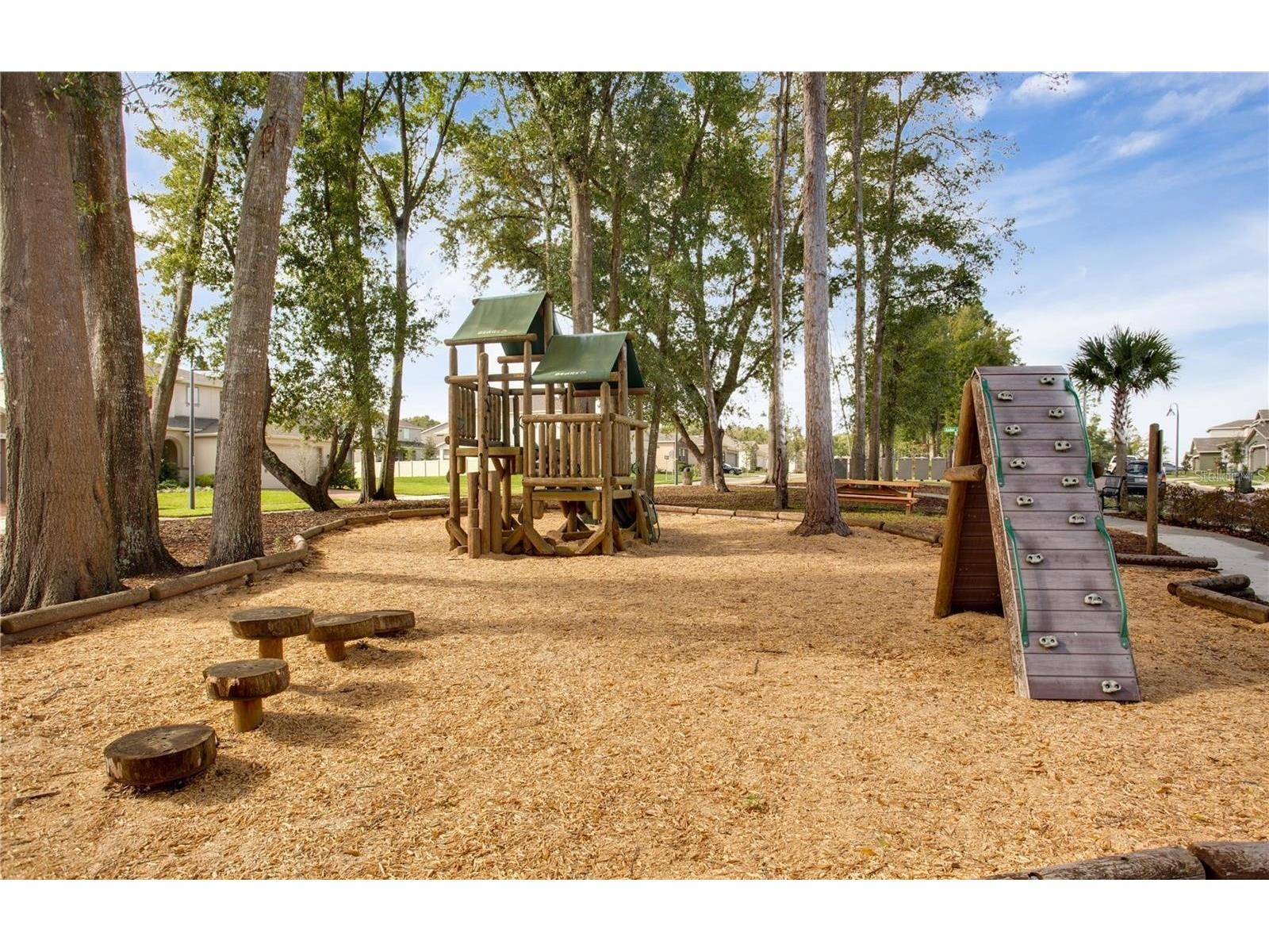 2280 Mountain Pine Street Ocoee FL 34761 O6393741 image32