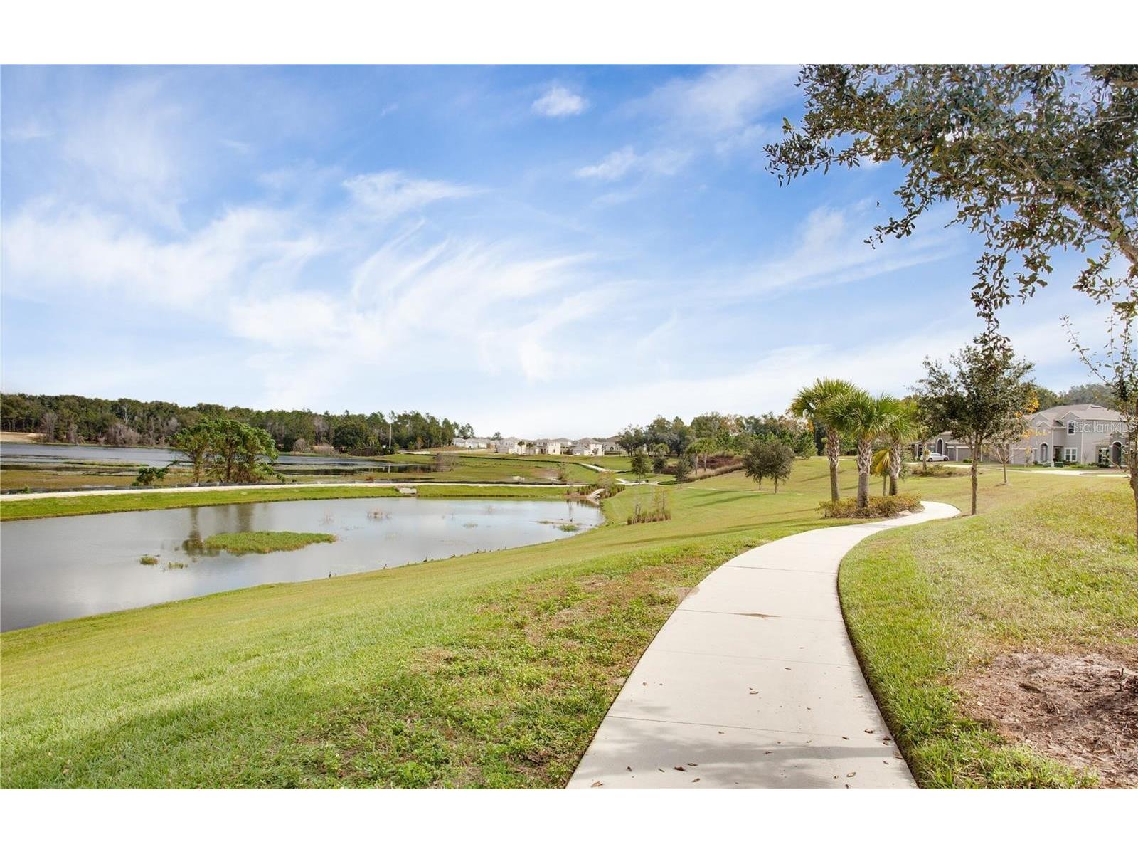 2280 Mountain Pine Street Ocoee FL 34761 O6393741 image35