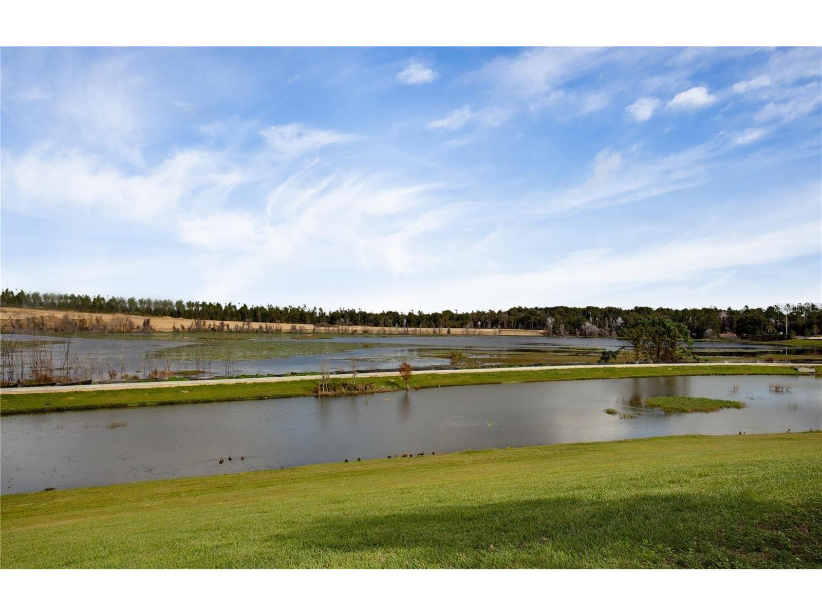 2280 Mountain Pine Street Ocoee FL 34761 O6393741 image36